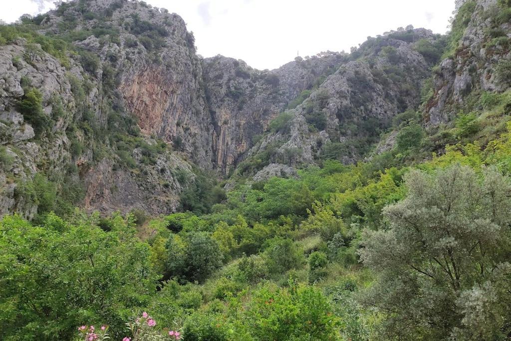 Daire Nature Bay *